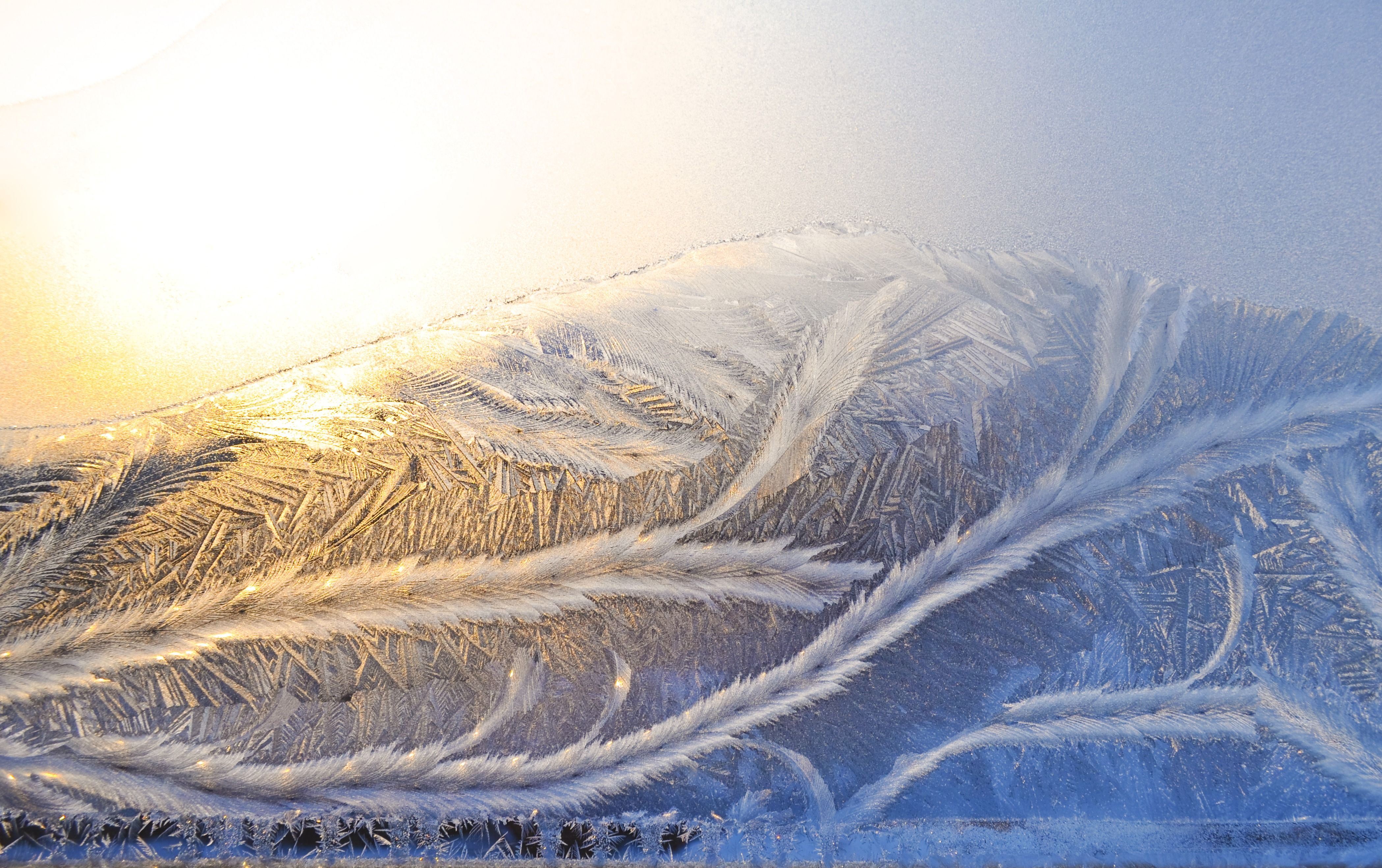 frost- icebar dubai